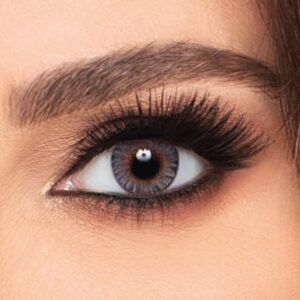 freshlook one day Gray